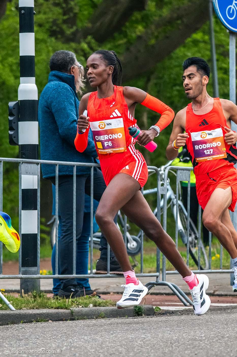 Fotógrafo de eventos deportivos - Maratón de Roterdam, fotografía de eventos deportivos en Europa. Grandes eventos deportivos